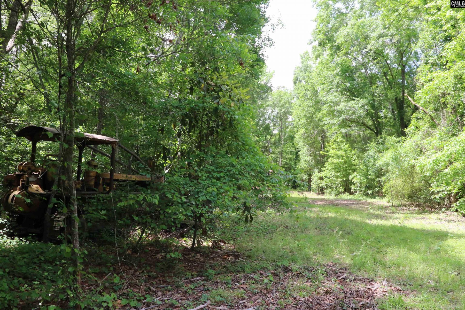 1091 Pine Grove Road  Photo 6
