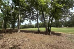 537 Misty Banks Drive photo 4