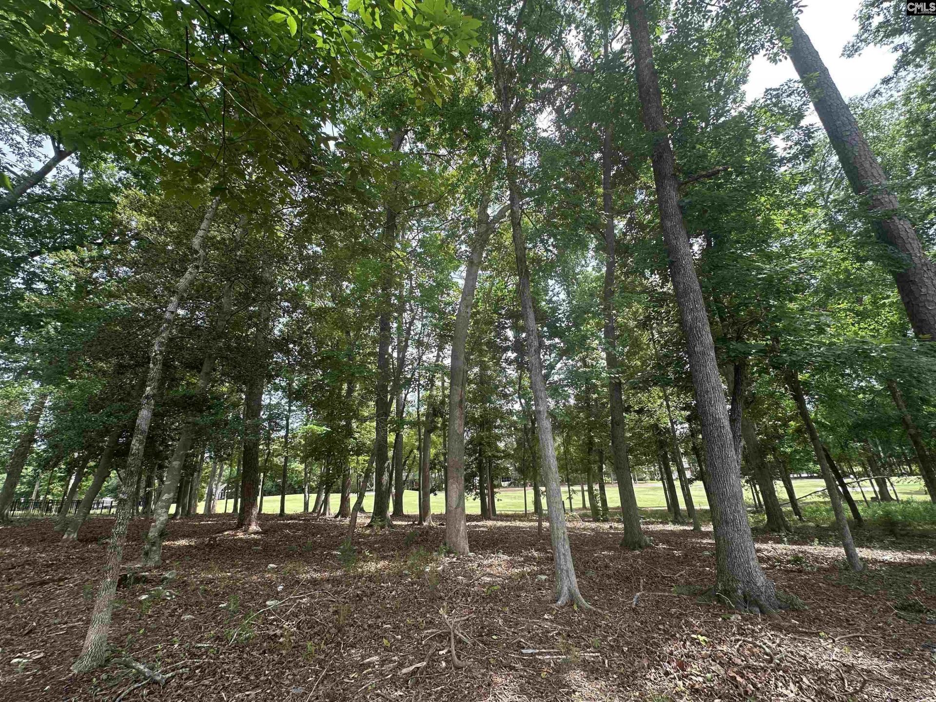 537 Misty Banks Drive Photo 7