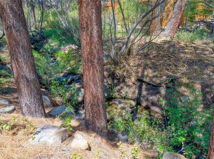 643 Rosewood Circle, Incline Village, NV 89451 Photo