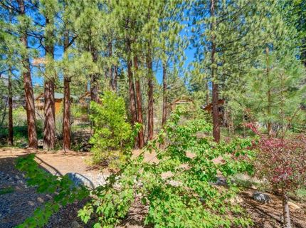 643 Rosewood Circle, Incline Village, NV 89451 Photo