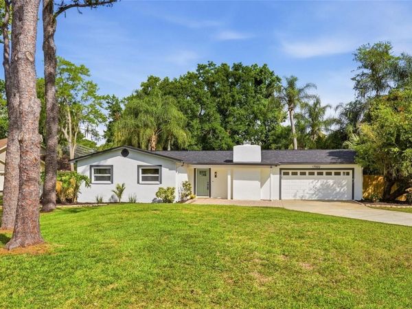 17002 PAULA LANE , LUTZ, FL 33558