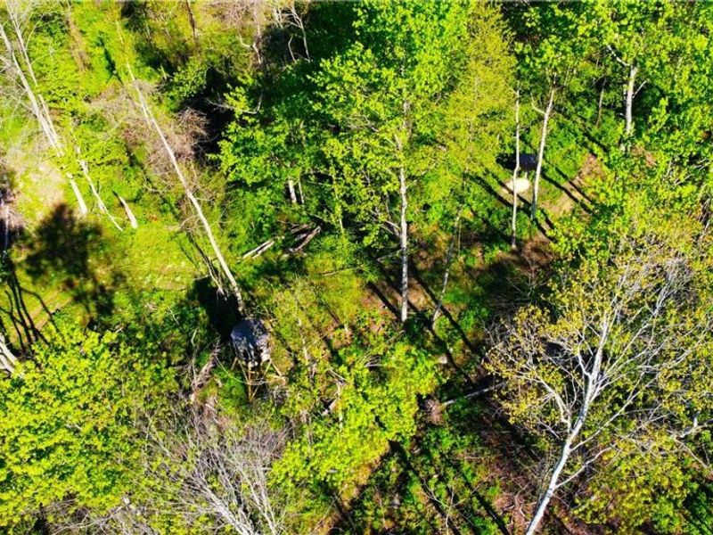 Patton Road, Jewett, OH 43986 Photo 13