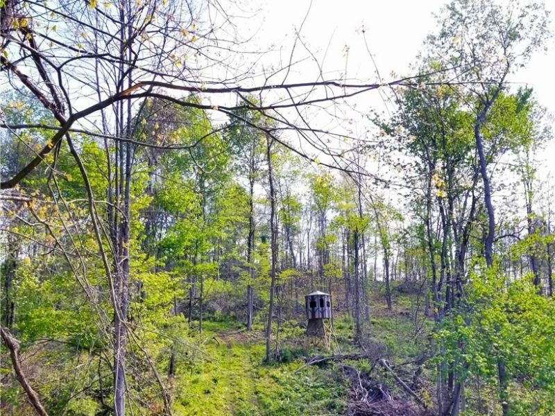 Patton Road, Jewett, OH 43986 Photo 14