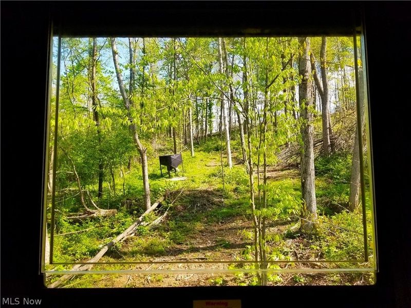 Patton Road, Jewett, OH 43986 Photo 17