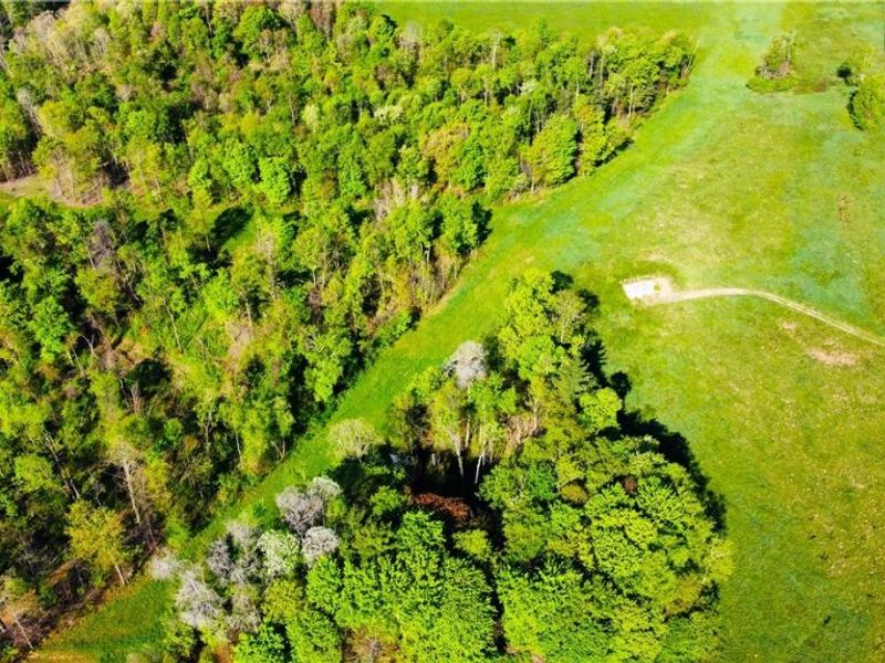Patton Road, Jewett, OH 43986 Photo 19
