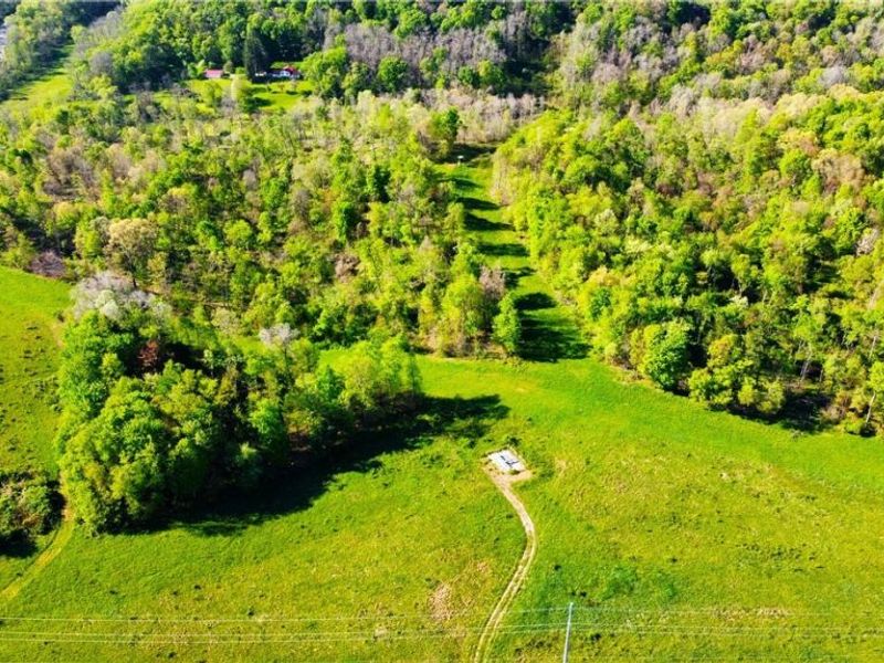 Patton Road, Jewett, OH 43986 Photo 20