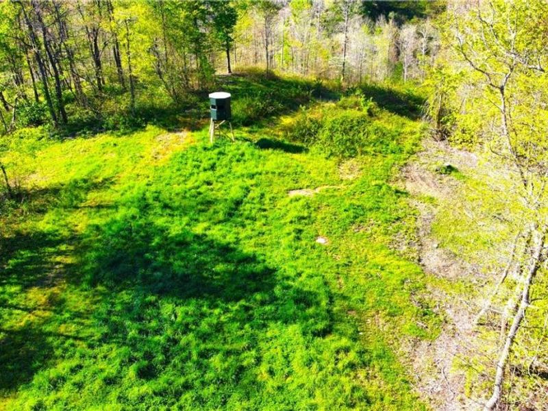 Patton Road, Jewett, OH 43986 Photo 22
