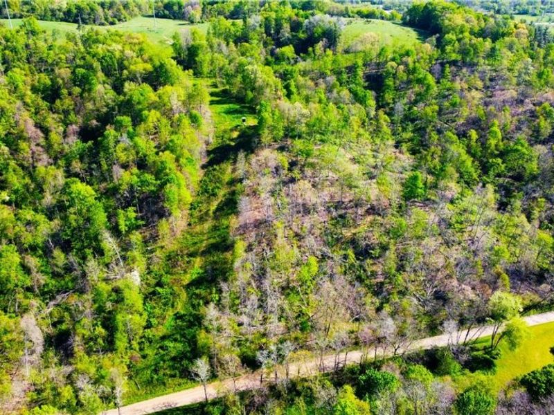 Patton Road, Jewett, OH 43986 Photo 24