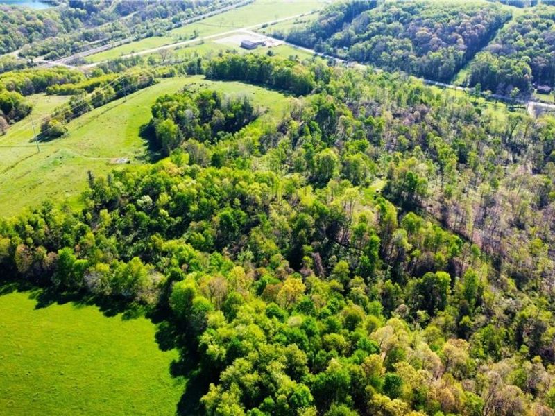 Patton Road, Jewett, OH 43986 Photo 25