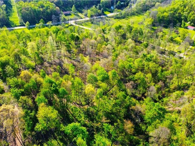 Patton Road, Jewett, OH 43986 Photo 26
