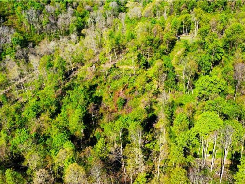 Patton Road, Jewett, OH 43986 Photo 28