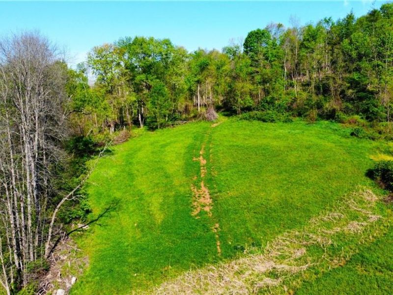 Patton Road, Jewett, OH 43986 Photo 31