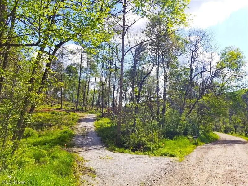 Patton Road, Jewett, OH 43986 Photo 34