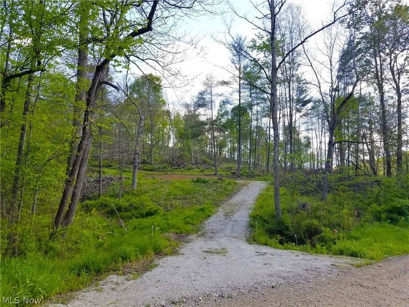 Patton Road, Jewett, OH 43986 Photo 35