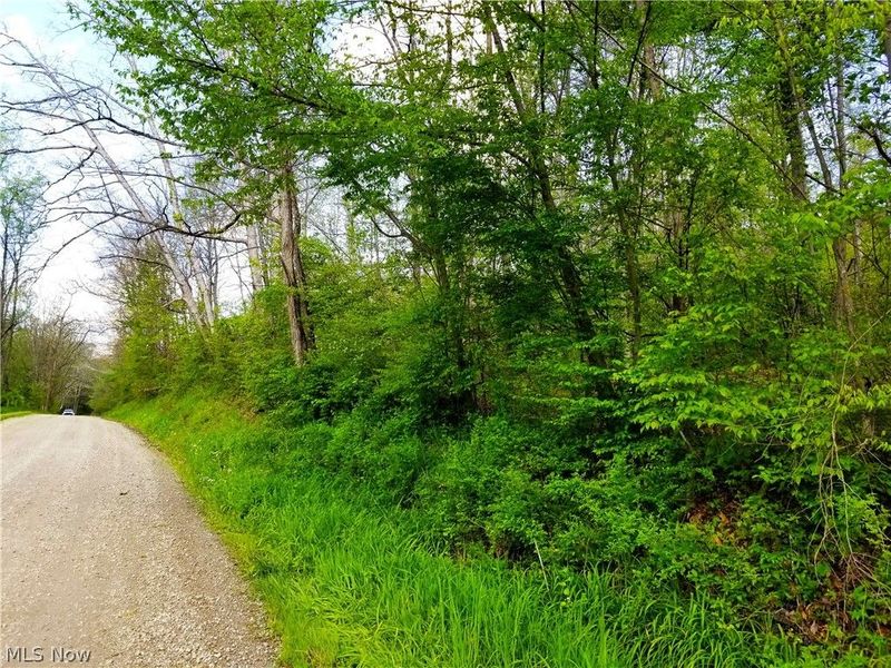 Patton Road, Jewett, OH 43986 Photo 36