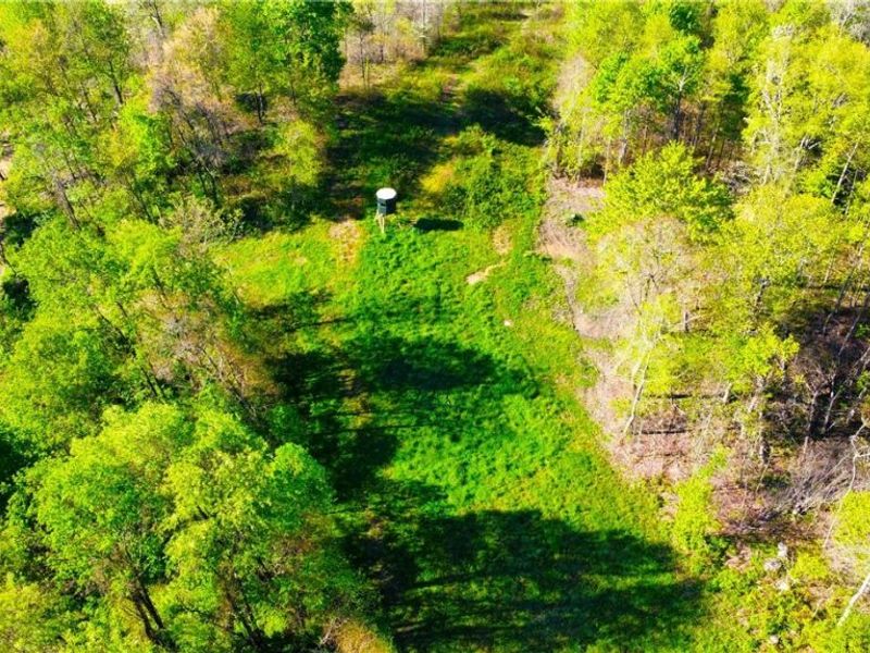 Patton Road, Jewett, OH 43986 Photo 4