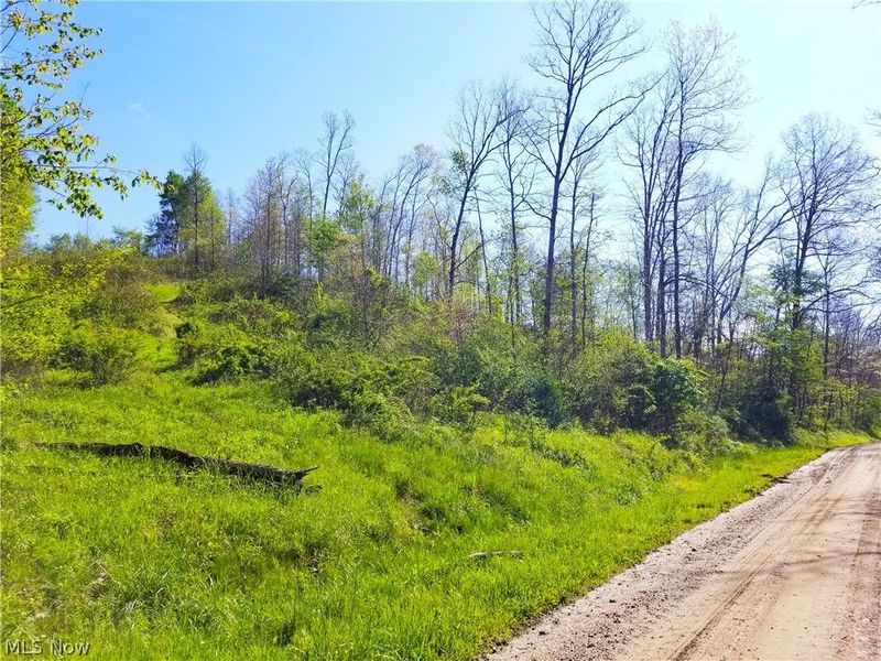 Patton Road, Jewett, OH 43986 Photo 41