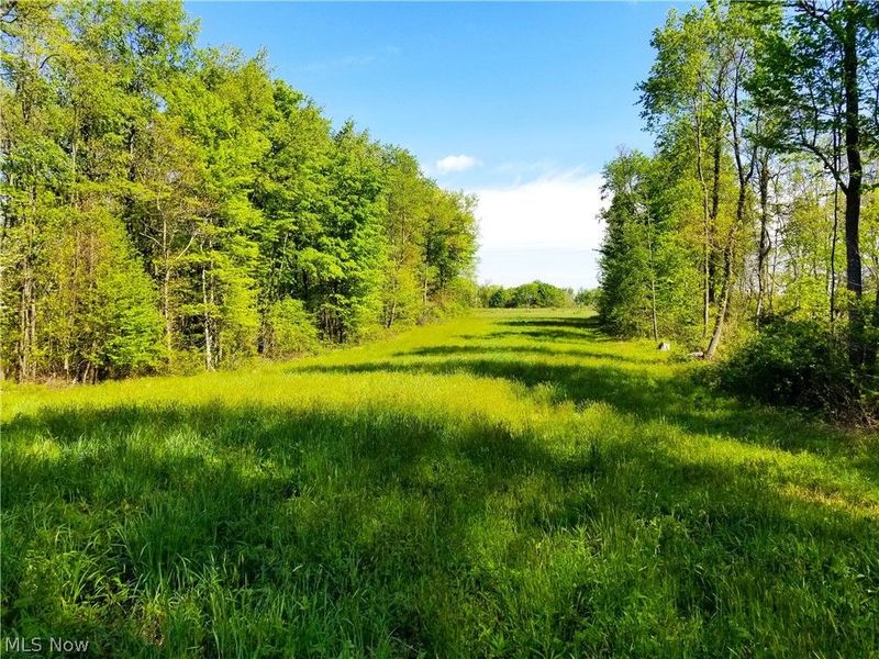 Patton Road, Jewett, OH 43986 Photo 5