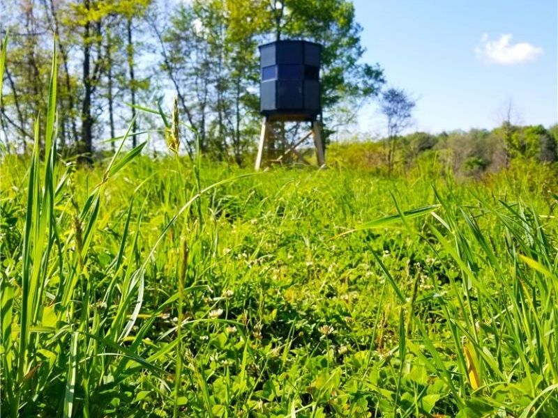 Patton Road, Jewett, OH 43986 Photo 6