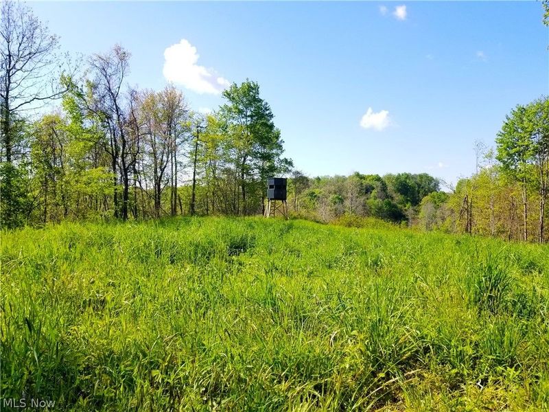 Patton Road, Jewett, OH 43986 Photo 7