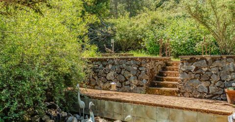 1407 Jackson Gate Rd, Jackson, CA 95642 Photo