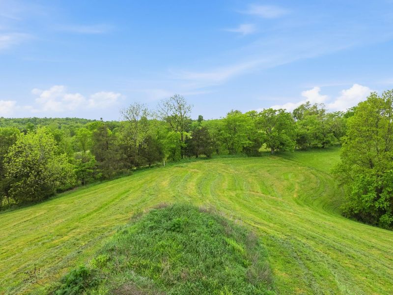 2657 Burton Pike, Georgetown, KY 40324 Photo 10