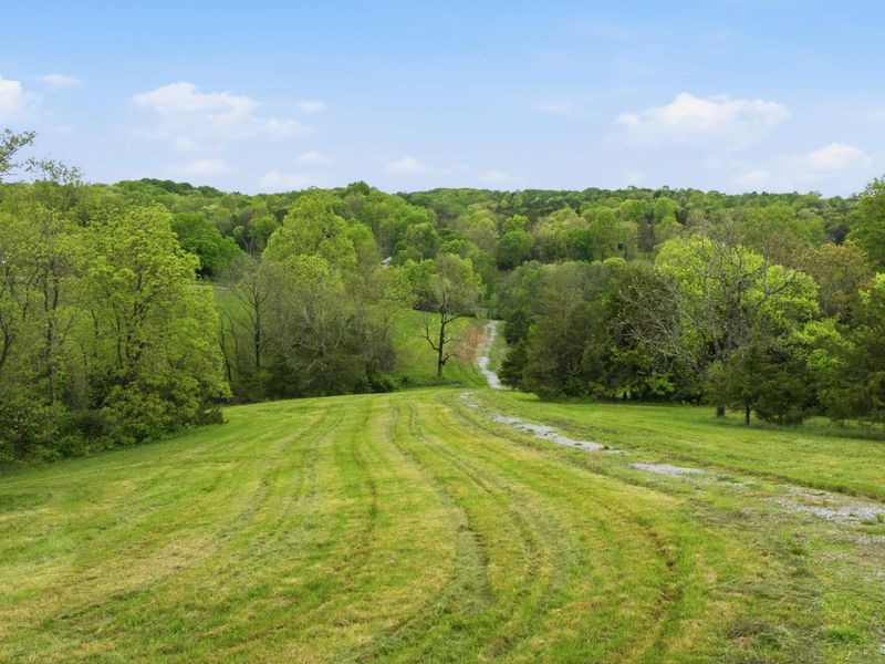 2657 Burton Pike, Georgetown, KY 40324 Photo 12