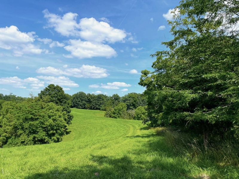 2657 Burton Pike, Georgetown, KY 40324 Photo 16