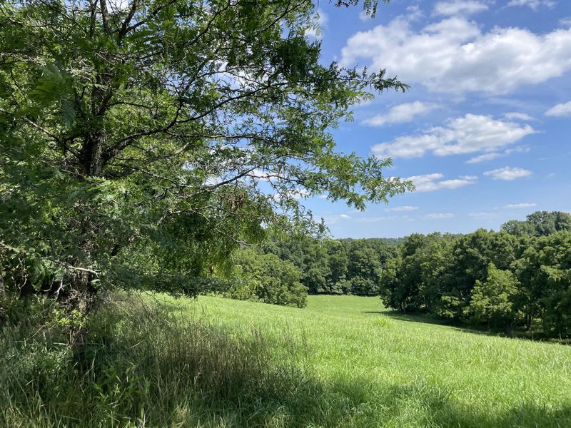 2657 Burton Pike, Georgetown, KY 40324 Photo 17