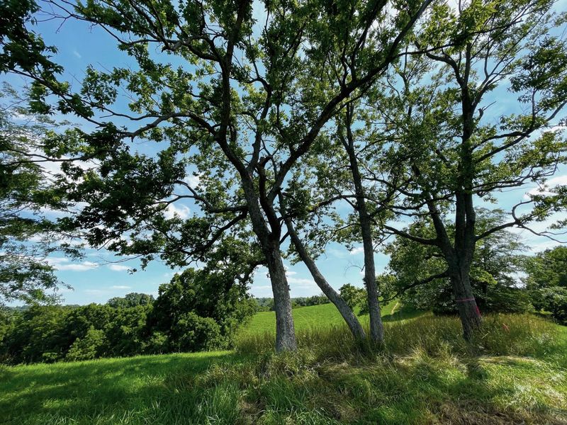 2657 Burton Pike, Georgetown, KY 40324 Photo 18