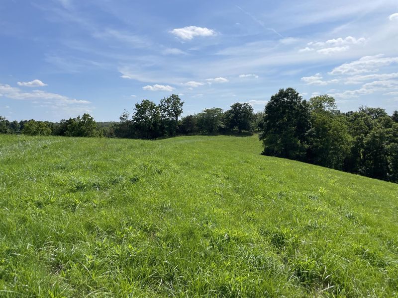 2657 Burton Pike, Georgetown, KY 40324 Photo 20