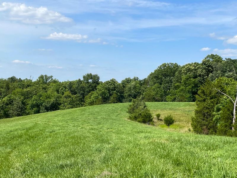2657 Burton Pike, Georgetown, KY 40324 Photo 21