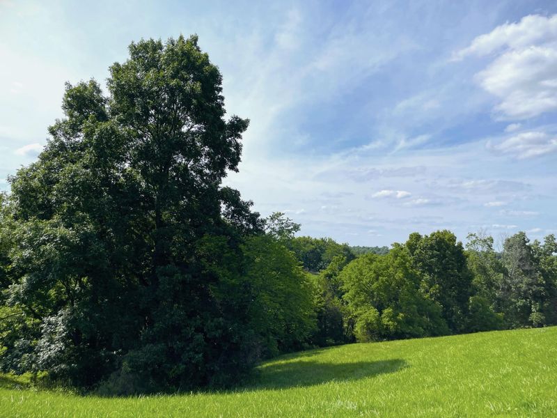 2657 Burton Pike, Georgetown, KY 40324 Photo 22
