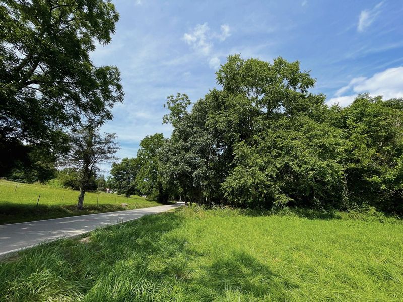 2657 Burton Pike, Georgetown, KY 40324 Photo 23