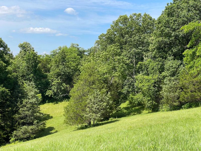 2657 Burton Pike, Georgetown, KY 40324 Photo 24