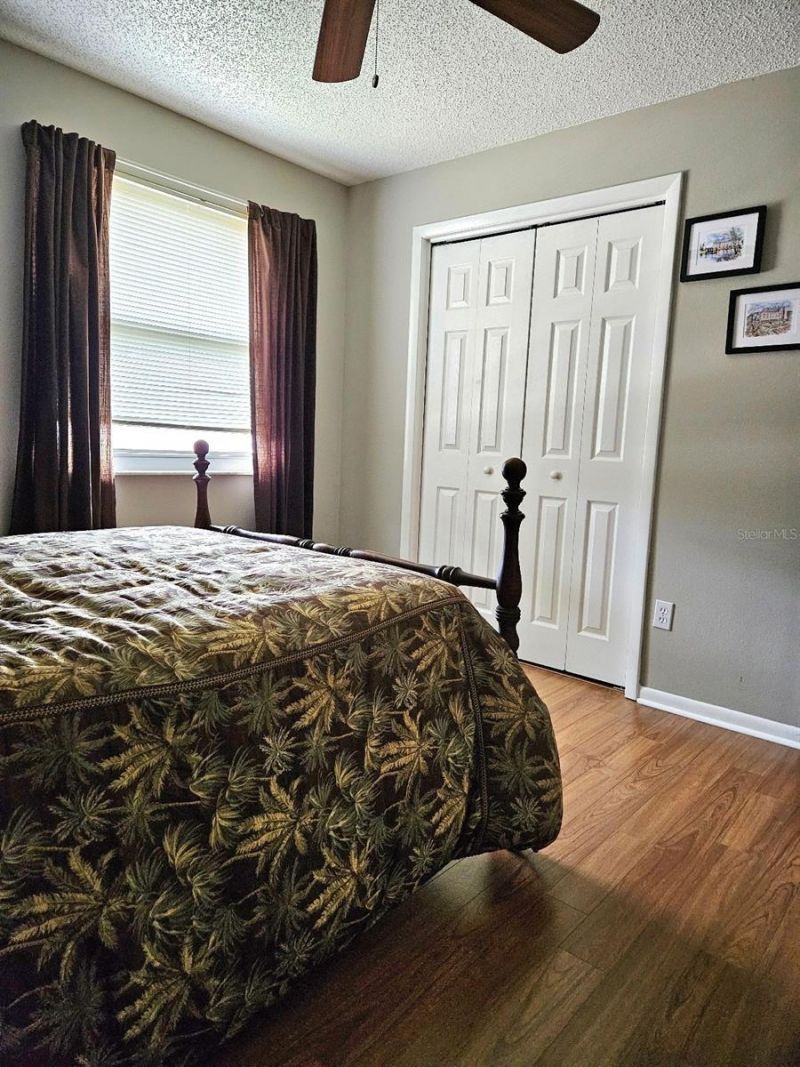 4029 Bell Grande Drive, Valrico, FL 33596 Photo