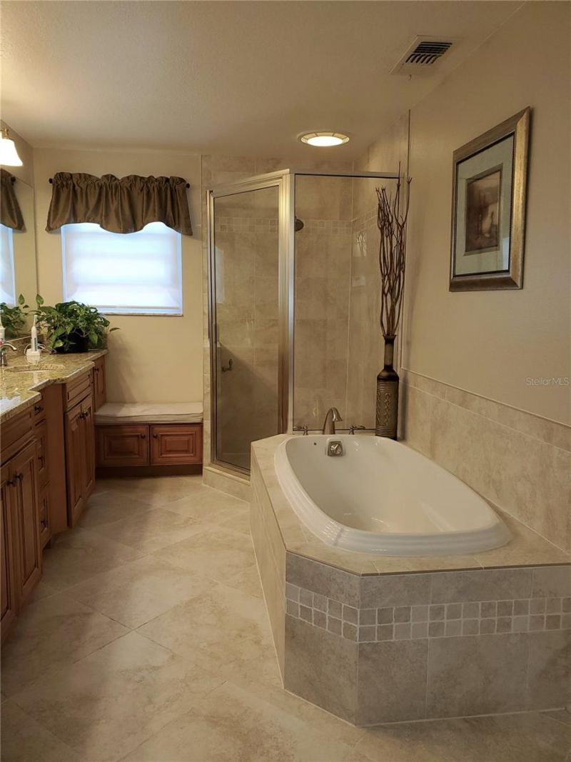 4029 Bell Grande Drive, Valrico, FL 33596 Photo