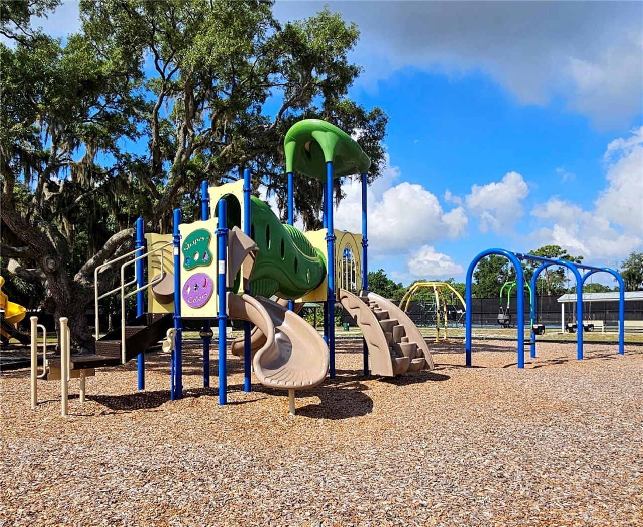 4029 Bell Grande Drive, Valrico, FL 33596 Photo