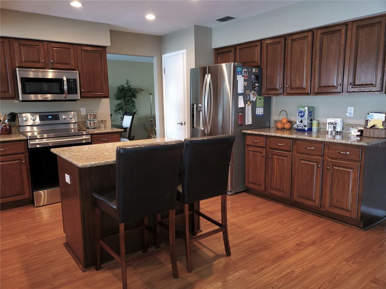 4029 Bell Grande Drive, Valrico, FL 33596 Photo