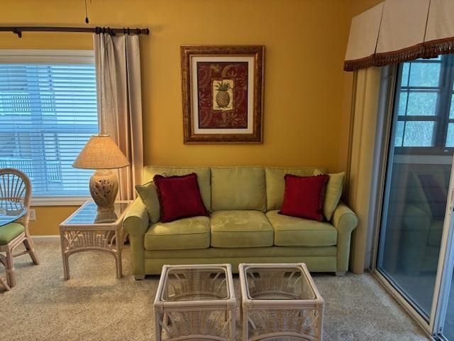 4102 Pinehurst Circle  Photo 19