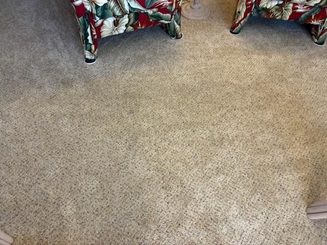 4102 Pinehurst Circle  Photo 21