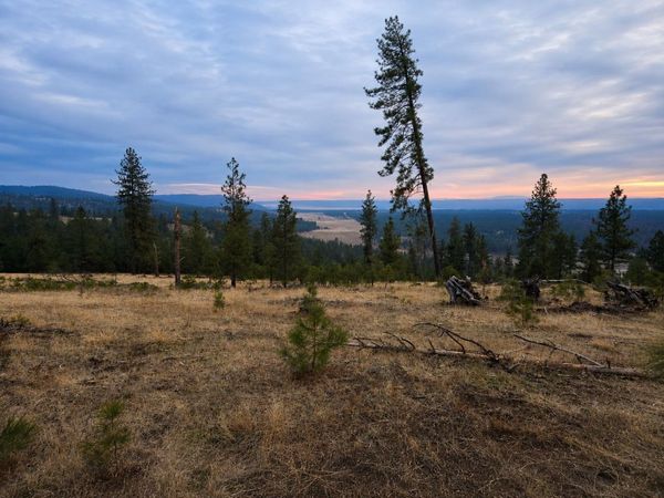 5xxx HWY 231 Hwy, Ford, WA 99013