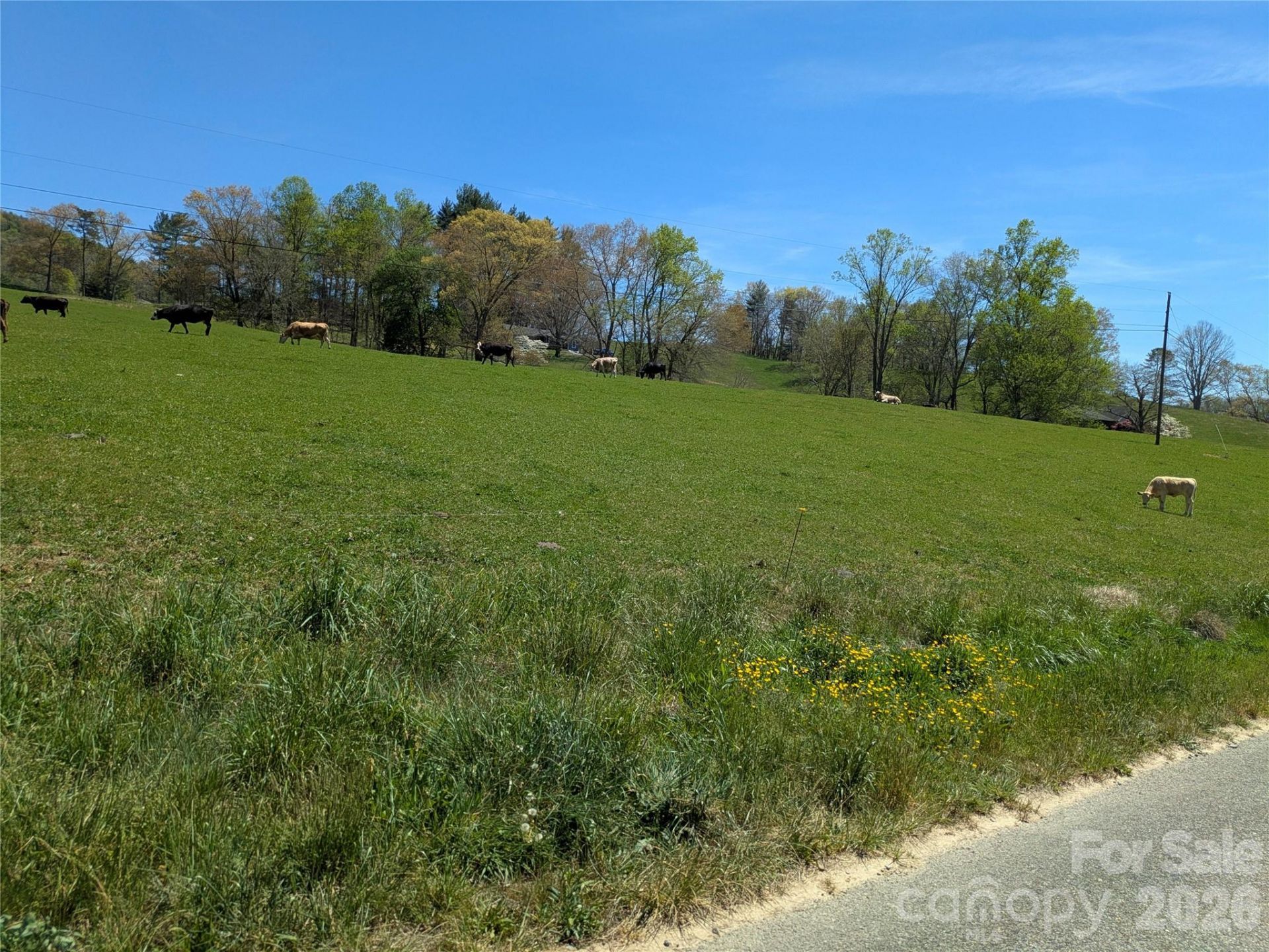 Tbd Glance Cove Road, Clyde, NC 28721 Main Photo