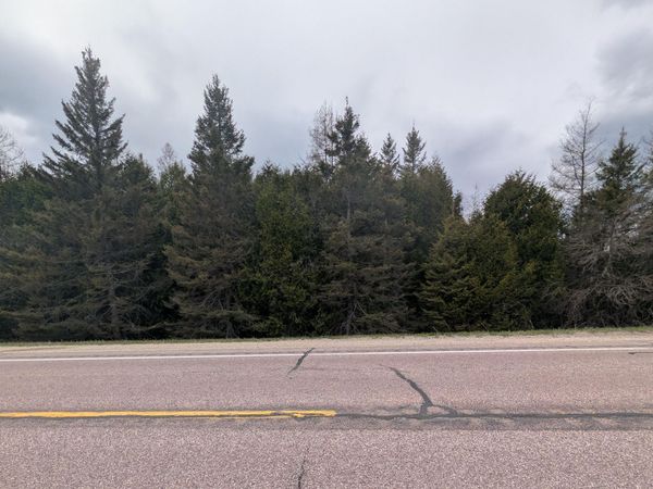 000 M-123, Moran, MI 49760