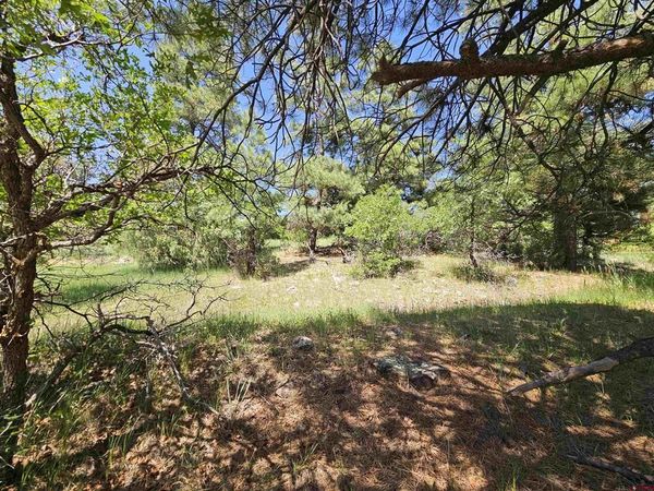 344 & 360 Caddy Circle, Pagosa Springs, CO 81147