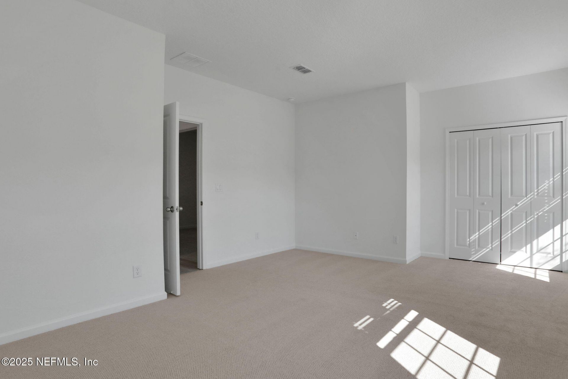 2226 Palisade Point, Middleburg, FL 32068 Photo