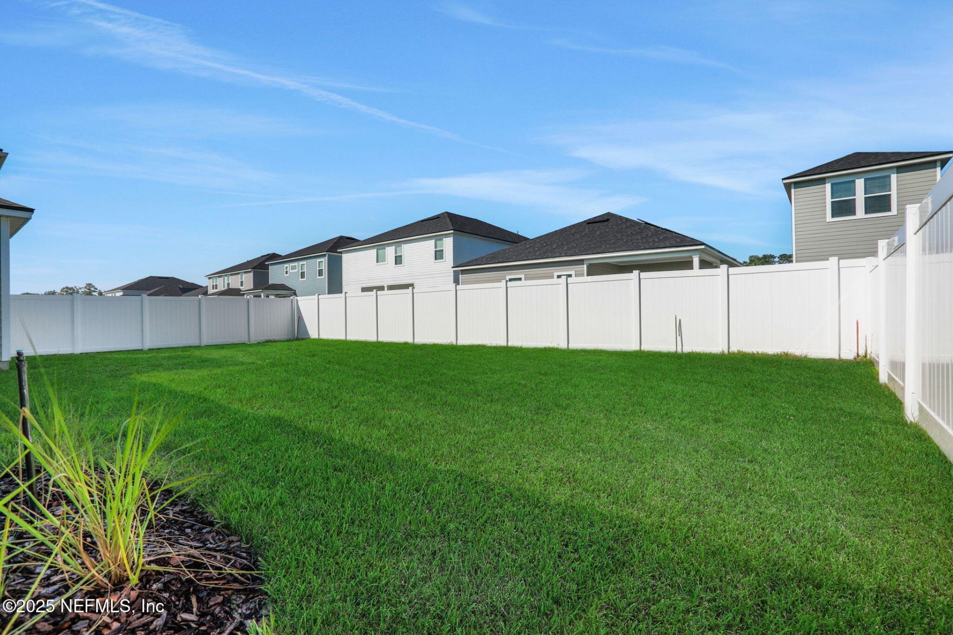 2226 Palisade Point, Middleburg, FL 32068 Photo