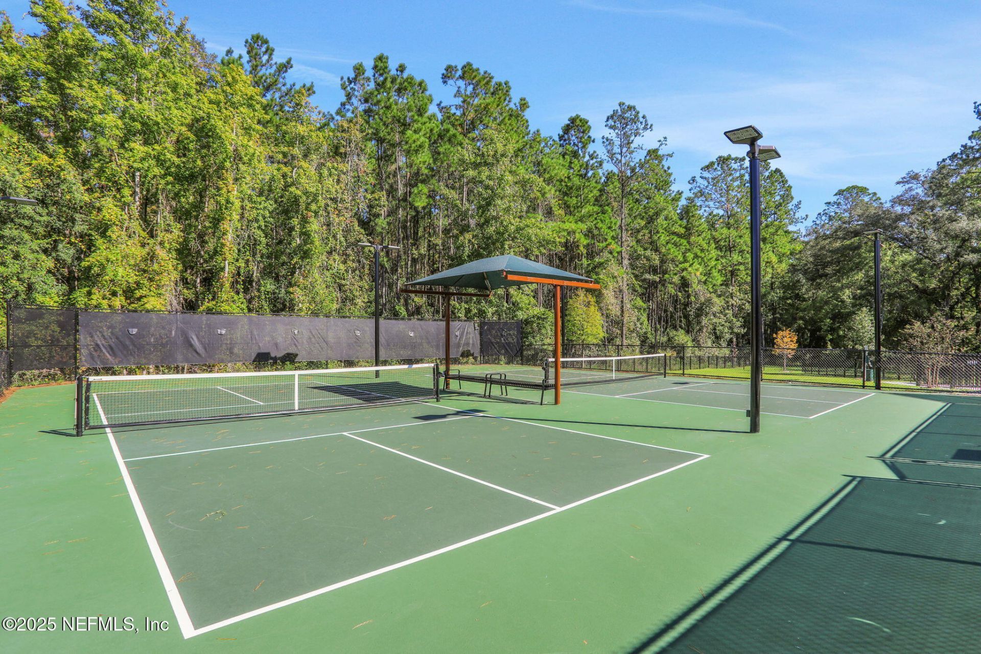 2226 Palisade Point, Middleburg, FL 32068 Photo