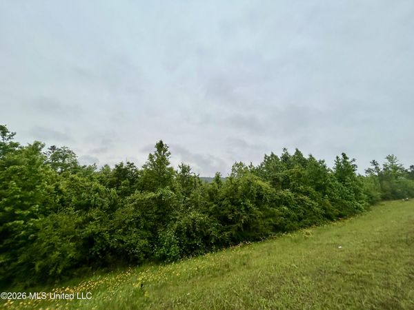 Ferguson Mill Road, Silver Creek, MS 39663